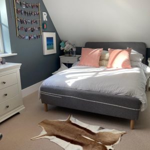 Blesbok & Springbok Rugs